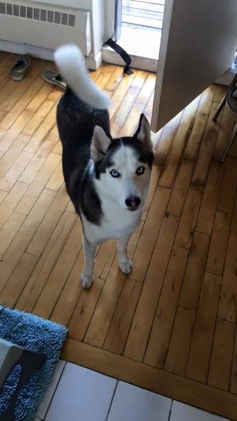 13271825_10102283780357718_1790371927_o